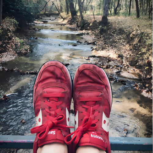 The programs featured image